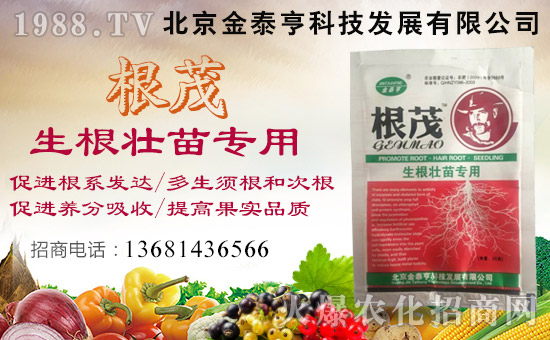 ̩ࡿףλ(jng)Nтtؔ(ci)ԴVM(jn)