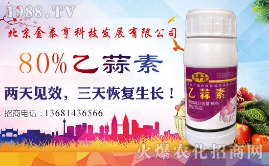 ̩ࡿףλ(jng)Nтtؔ(ci)ԴVM(jn)
