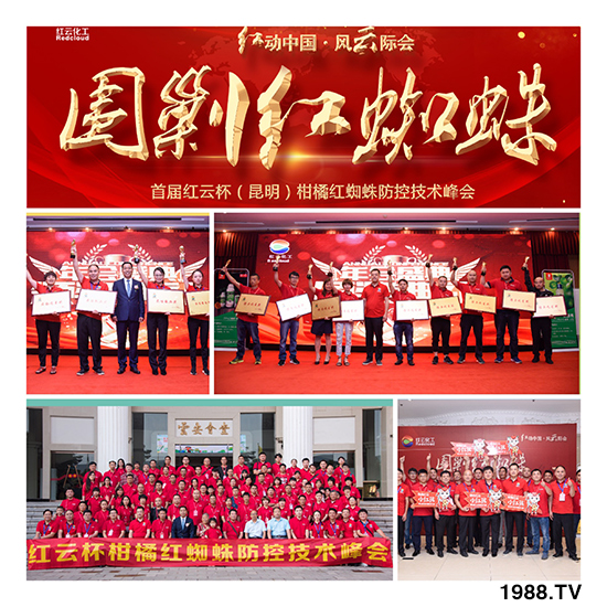 tƻףٸRT(mn)´