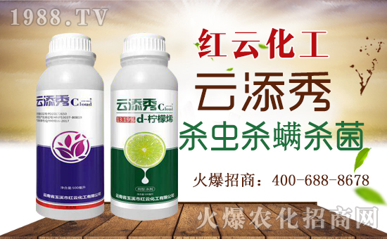 tƻףٸRT(mn)࣬´
