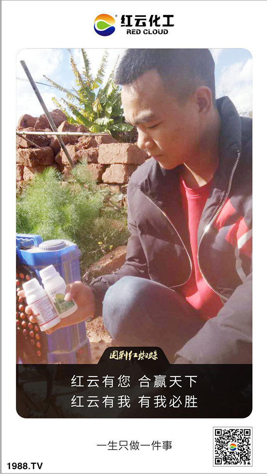 tƻףٸRT(mn)´