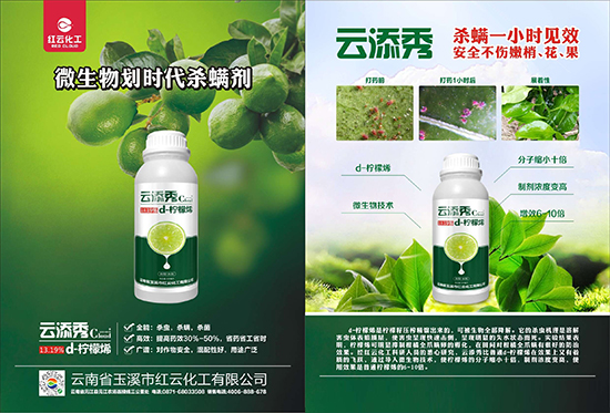tƻףٸRT(mn)࣬´