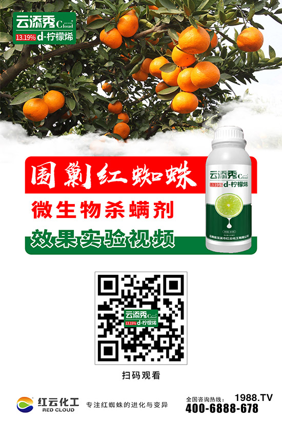 tƻףٸRT(mn)࣬´