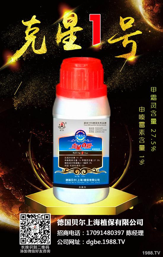 香椿種子怎么種，香椿種子的種植方法！