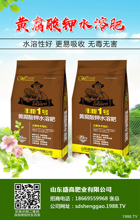 小白菜什么時(shí)候種植？小白菜高產(chǎn)種植技術(shù)