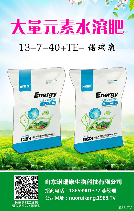 2020年大蒜價格行情怎么樣？賺錢不？種植面積會增大么？
