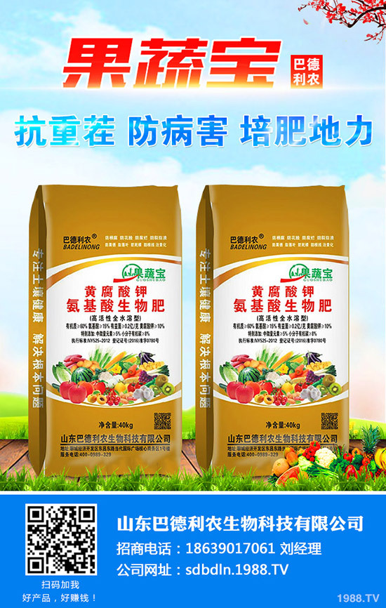     2020種植小黃姜怎樣？價(jià)格行情好么？小黃姜種植效益高不高！