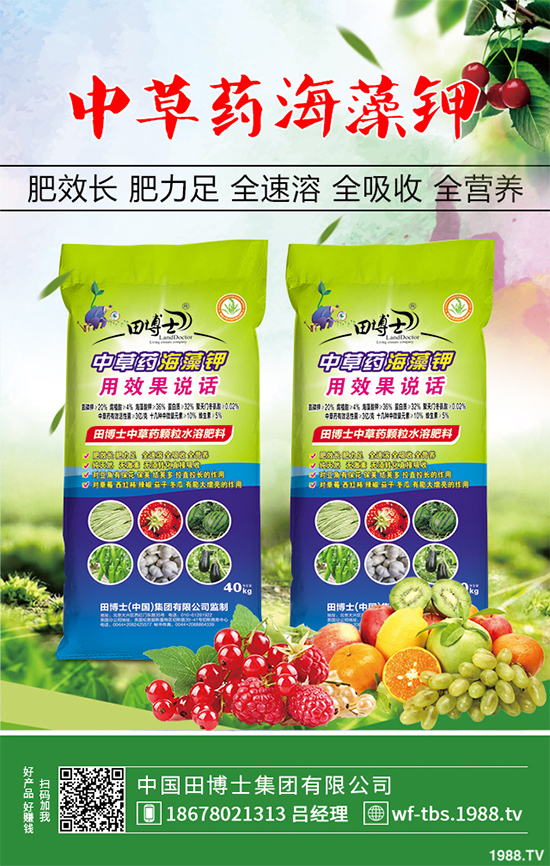 種植重樓能賺錢嗎？重樓種植前景及效益分析