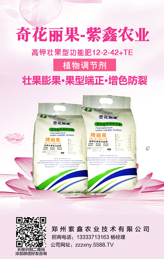 學會龍眼的施肥管理，龍眼增產不再憂！