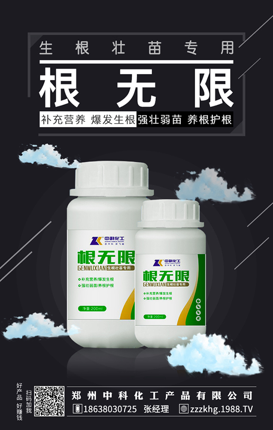 君子蘭的四種施肥小技巧大家知道嗎？