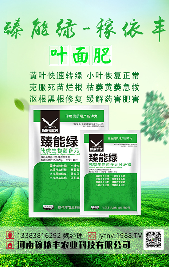 綠豆想高產(chǎn)，綠豆科學(xué)上肥技術(shù)大家要清楚！
