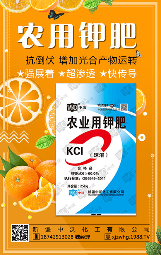 ½ֻף옷꼪2020LLؔ(ci)Դ