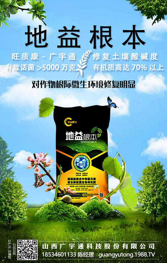 花椰菜想要拔高產(chǎn)量，需要花椰菜科學(xué)施肥管理
