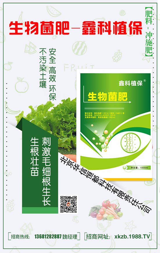 春季種植菠菜的施肥技巧以及要點！