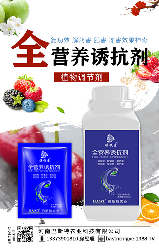 結球甘藍怎么施肥，結球甘藍的施肥技術！