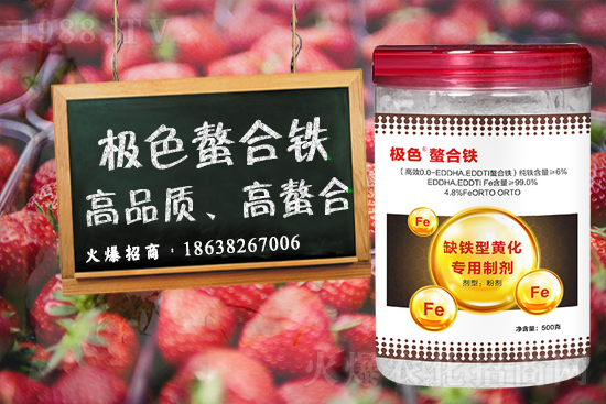 小麥追肥時期在什么時候 ？小麥追肥用尿素還是復合肥？