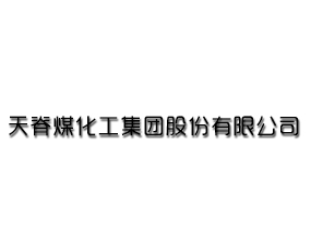 天脊煤化工集團(tuán)股份有限公司