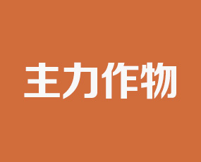 江西主力作物營(yíng)養(yǎng)科技有限公司