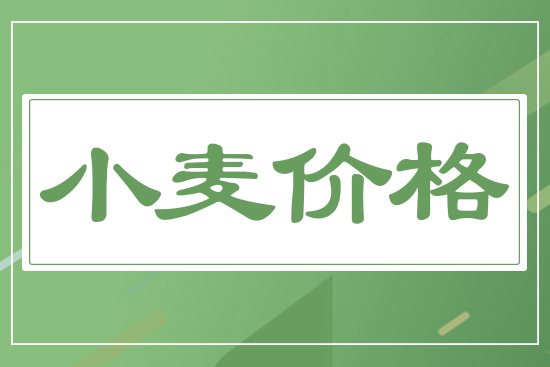新麥開(kāi)秤價(jià)，一斤多少錢(qián)？5月19日小麥價(jià)格行情