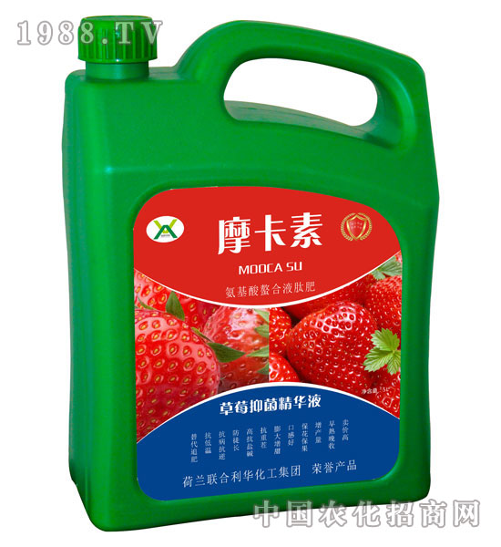 草莓抑菌精華液-摩卡素-強(qiáng)芯國際