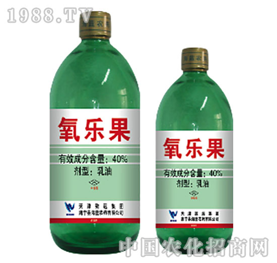 40%氧樂果-海藍