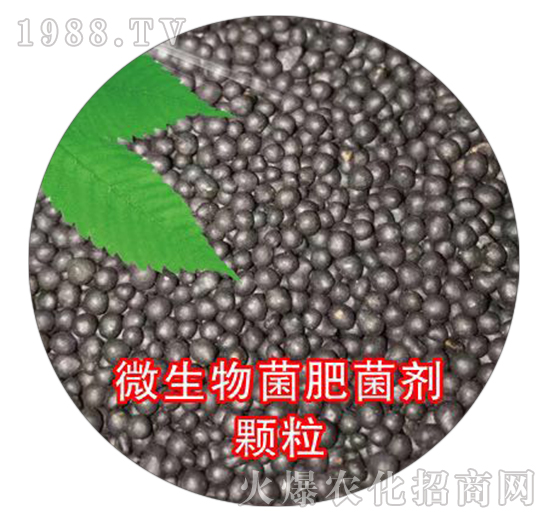 微生物菌肥菌劑顆粒-嘉盛中農