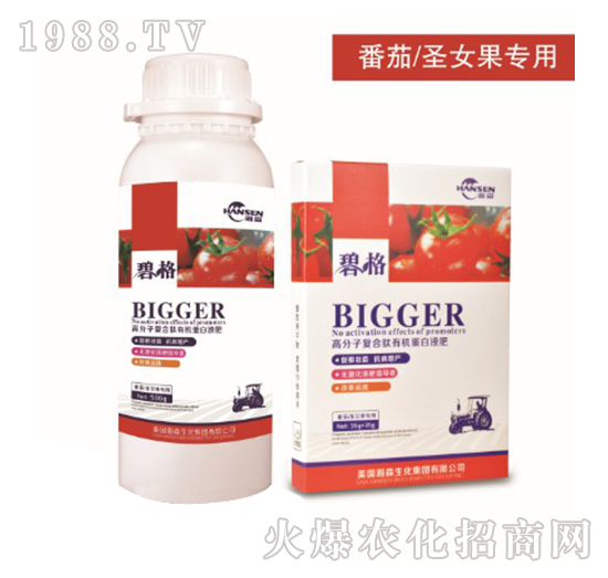 番茄圣女果專用高分子復合肽有機蛋白液肥-碧格-瀚森農(nóng)業(yè)