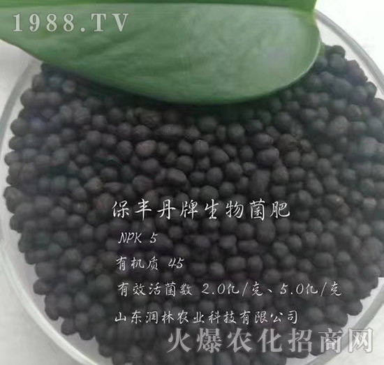 生物菌肥-保豐丹-潤林農業(yè)