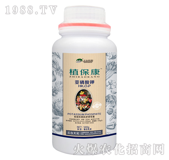 500g植?？?云臺(tái)大化