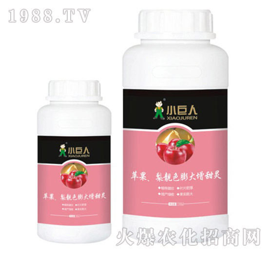 蘋(píng)果、梨靚色膨大增甜靈調(diào)節(jié)劑-小巨人