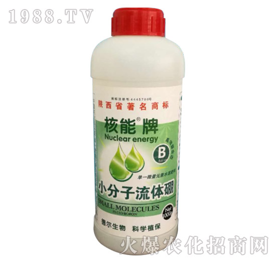核能牌小分子流體硼-德?tīng)柹? style=