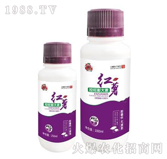紅薯控旺膨大素-薯幫主-升華永樂(lè)