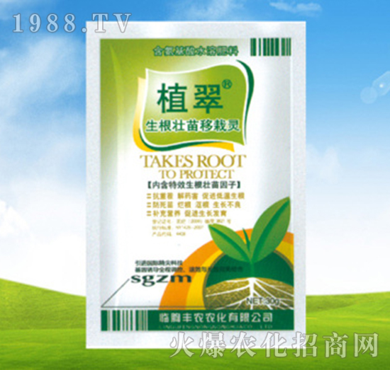 生根壯苗移栽靈-植翠-豐農農化