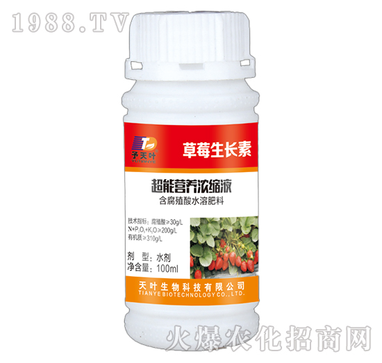 超能營養(yǎng)濃縮液-草莓生長素-天葉生物