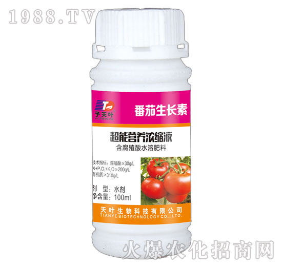 超能營養(yǎng)濃縮液-番茄生長素-天葉生物
