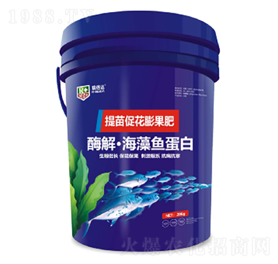 提苗促花膨果肥-酶解海藻魚蛋白-瑞倍達(dá)