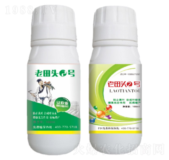 真菌、細(xì)菌性病害、病毒?。ㄖ胁菟幣浞剑?老田頭2號