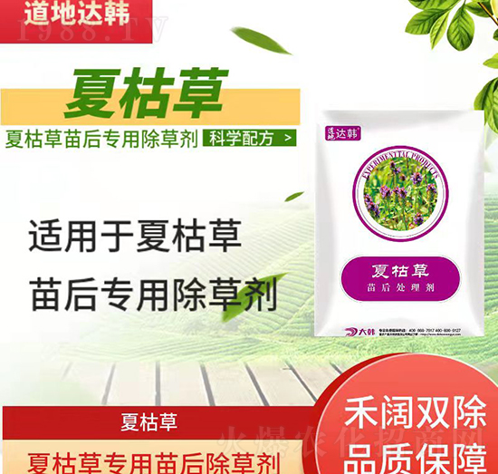 夏枯草除草劑-夏枯草苗后-夏枯草專(zhuān)用-大韓