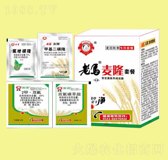 老馬麥隆套餐-惠耘農業(yè)