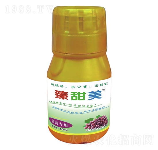 葡萄專(zhuān)用 臻甜美 盛澤坤