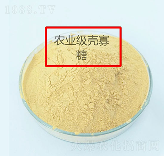 農業(yè)級殼寡糖-山東昌瑞