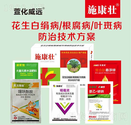 花生白絹病根腐病葉斑病防治技術(shù)方案-施康壯-萱化威遠(yuǎn)