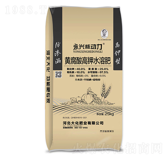 黃腐酸高鉀水溶肥料-永興核動力-大化肥業(yè)