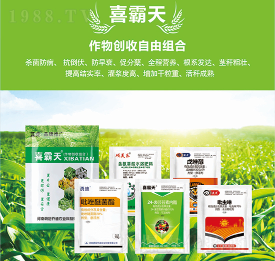 玉米創(chuàng)收自由組合-藍虎品牌