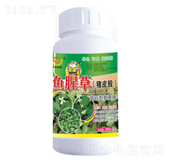 魚(yú)腥草（豬皮股）專用氨基酸葉面肥-潤(rùn)田肥料