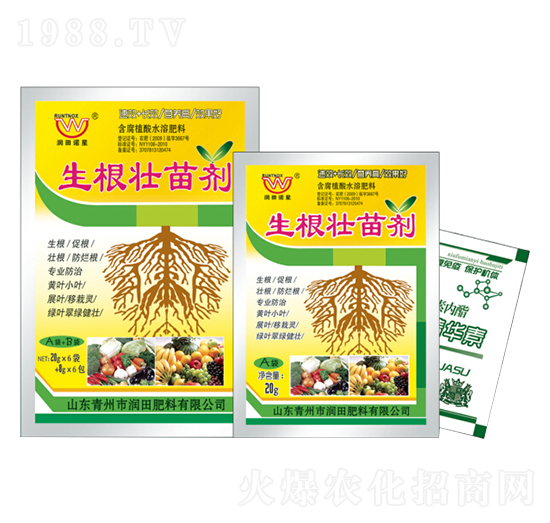 生根壯苗劑A+B-潤(rùn)田肥料