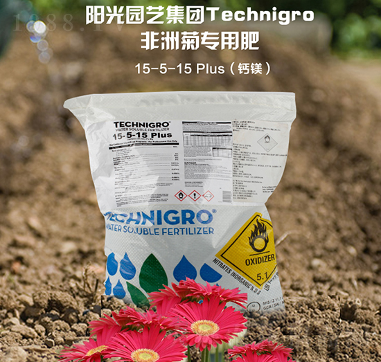 非洲菊專(zhuān)用鈣鎂肥5-5-15-陽(yáng)光智慧