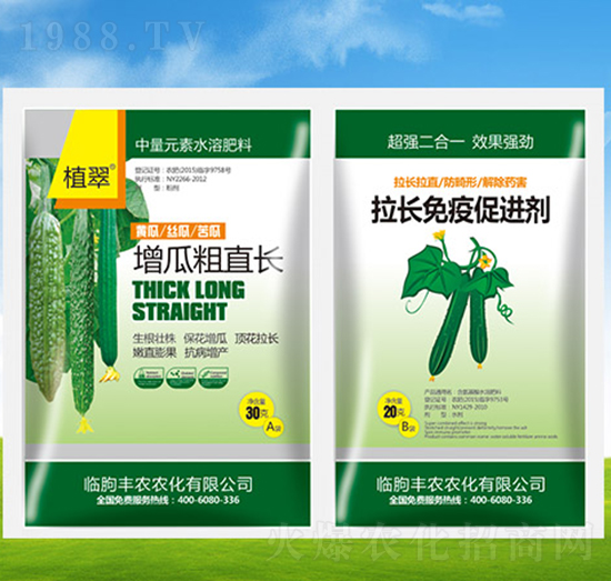 增瓜粗直長+拉長免疫促進劑-植翠-豐農(nóng)農(nóng)化
