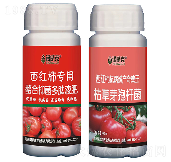 西紅柿專用螯合抑菌多肽液肥+西紅柿抗病增產奇效王-諾威克