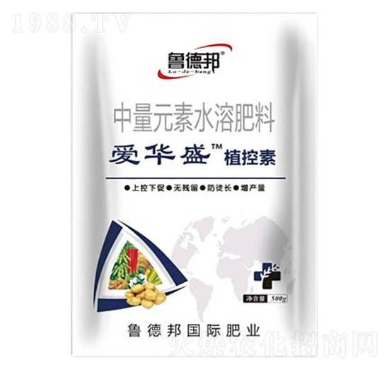 中量元素水溶肥料-愛(ài)華盛植控素-魯?shù)掳? style=